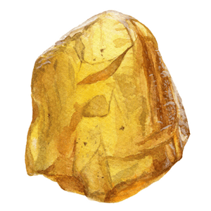 Ambergis_1_1.png