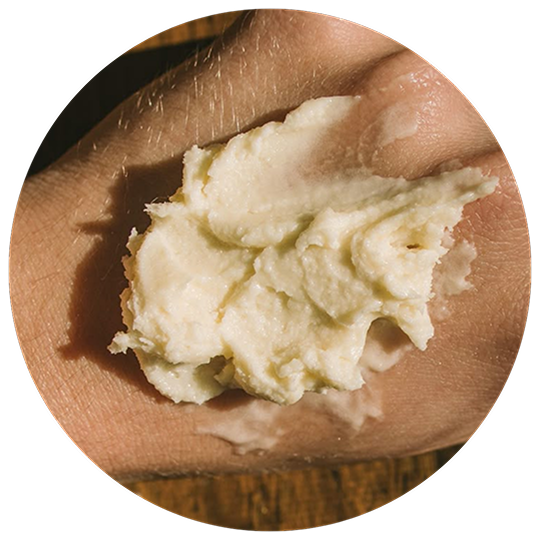 tallow.png